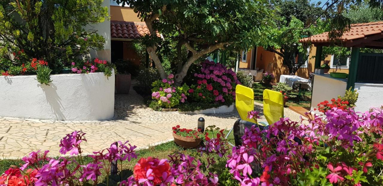 Guest house Bizjak Vinkuran Buitenkant foto