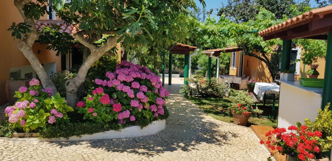 Guest house Bizjak Vinkuran Buitenkant foto