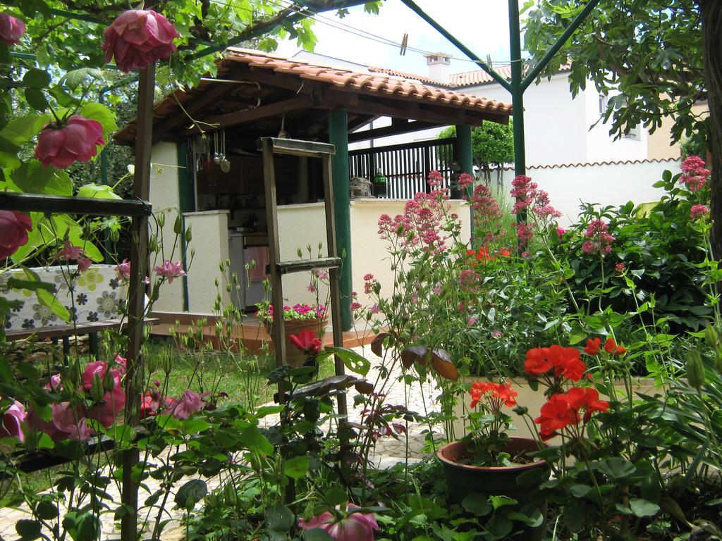 Guest house Bizjak Vinkuran Buitenkant foto